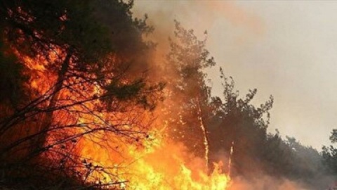 فیلم / «الیت» غرق در دود و آتش