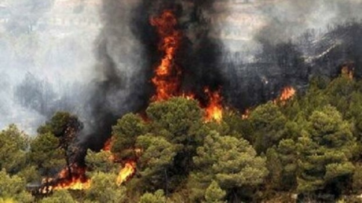 آتش‌سوزی گسترده در جنگل‌های «نمنق» جلفا