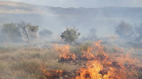 فیلم / آتش سوزی مراتع جنگلی روستای نمنق شهرستان جلفا