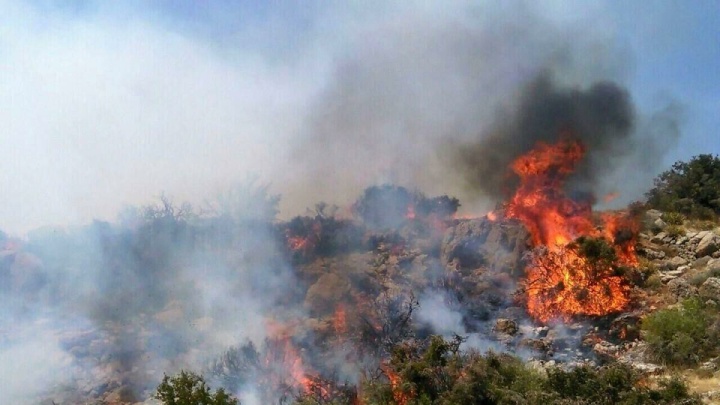 منشأ آتش‌سوزی جنگل هیرکانی در منطقه الیت چالوس به احتمال بسیار زیاد، انسانی است