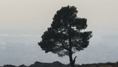 انجام فعالیت ورزشی در البرز ممنوع شد/تعطیلی مهدهای کودک و پیش‌دبستانی‌ها