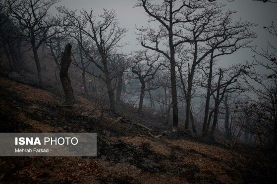 عملیات مهار آتشسوزی مناطق کوهستانی روستاهای دلیر و الیت