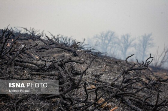 عملیات مهار آتش‌سوزی مناطق کوهستانی روستاهای دلیر و الیت