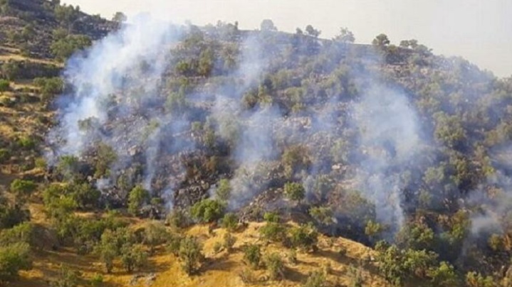 حریق دوهکتاری در جنگل های آستارا مهار شد