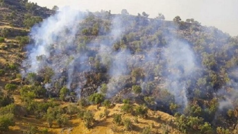 حریق دوهکتاری در جنگل های آستارا مهار شد