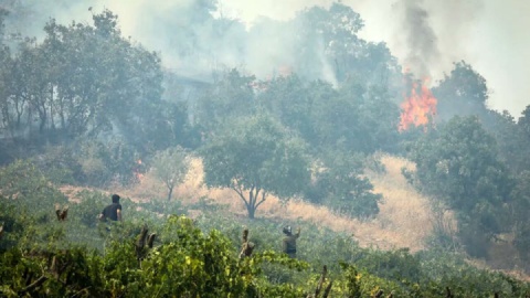 بزرگ‌ترین عملیات اطفای حریق