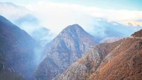 کمک به جنگل هیرکانی از تهران تا خرم آباد