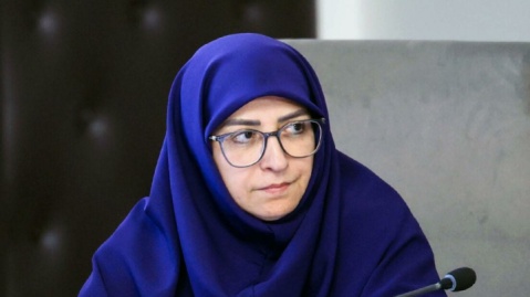 آتش‌سوزی الیت ۲۰ روز مداوم نبود/ ضرورت تشکیل یگان ویژه اطفای حریق جنگل‌ها