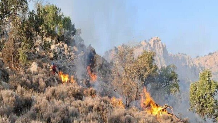 تقویت گروه‌های عملیاتی اطفای حریق الیت با اعزام محیط‌بانان از چهار استان
