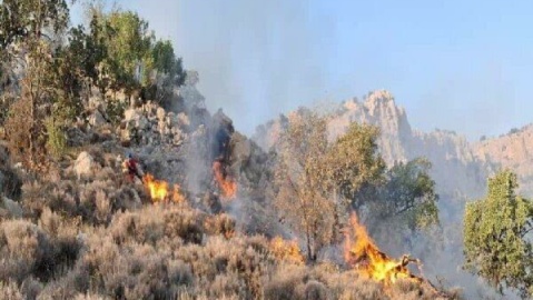 تقویت گروه‌های عملیاتی اطفای حریق الیت با اعزام محیط‌بانان از چهار استان