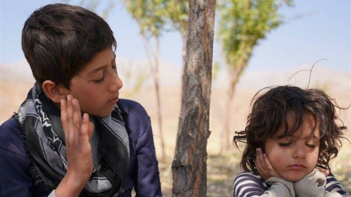 «موی گرگ» پروانه نمایش گرفت/ موافقت با اکران یک فیلم دیگر