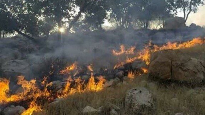 آتش بی‌احتیاطی گردشگران در جنگل‌های هیرکانی سوادکوه مهار شد