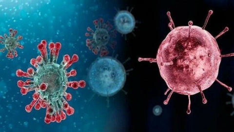 بیانیه وزارت بهداشت درباره افزایش موارد آنفلوآنزا در کشور