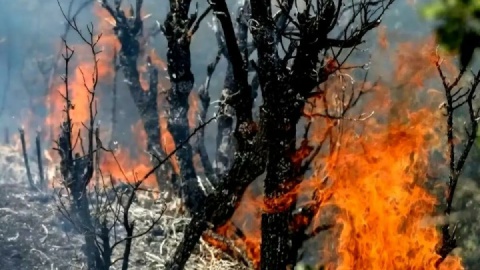 پیچیدگی مهار آتش در «الیـت»