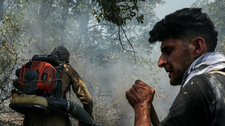 مهار ۹۰ درصدی آتش‌سوزی جنگل‌های الیت چالوس