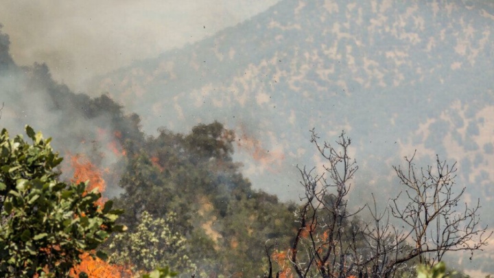 بالگرد فراجا به اطفای حریق جنگل‌های الیت چالوس پیوست