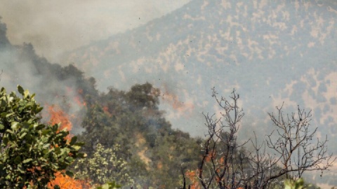 بالگرد فراجا به اطفای حریق جنگل‌های الیت چالوس پیوست