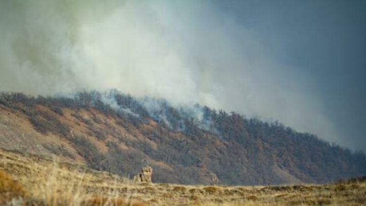 مهار آتش الیت با ۱۱۵ عملیات بالگردها و ۱۳ پرواز ایلیوشین