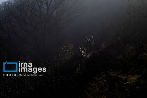 مهار آتش‌سوزی جنگل الیت