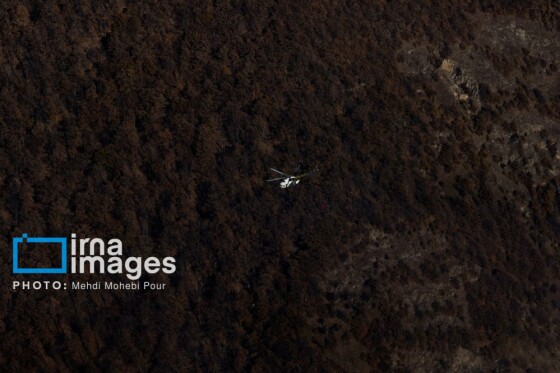 مهار آتشسوزی جنگل الیت