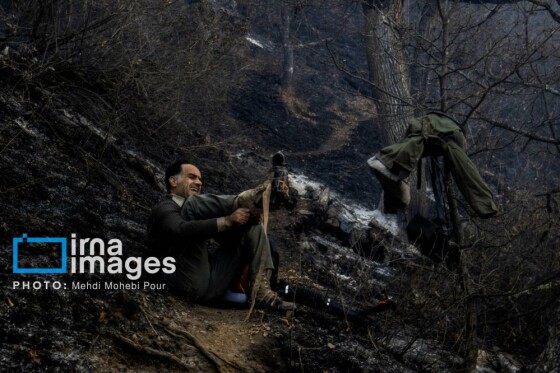 مهار آتش‌سوزی جنگل الیت