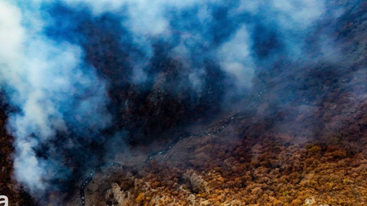 استاندار مازندران: پنج نقطه از عرصه‌های جنگلی شمال در ۲۴ ساعت اخیر درگیر آتش‌سوزی بود