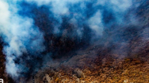 استاندار مازندران: پنج نقطه از عرصه‌های جنگلی شمال در ۲۴ ساعت اخیر درگیر آتش‌سوزی بود