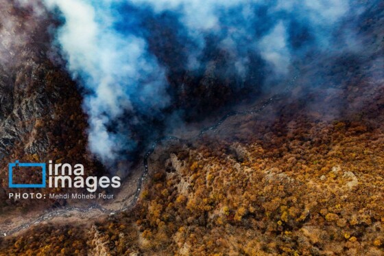 مهار آتش‌سوزی جنگل الیت