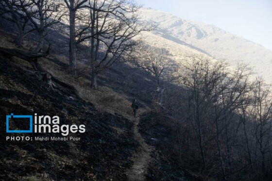 مهار آتشسوزی جنگل الیت