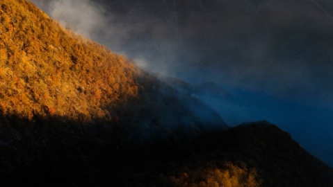 گزارش تصویری/ مهار آتش‌سوزی جنگل الیت