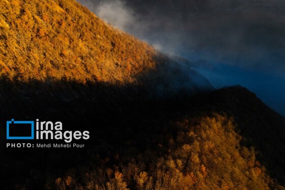 مهار آتش‌سوزی جنگل الیت