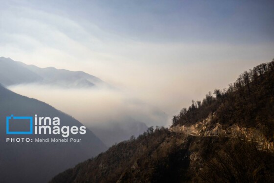 مهار آتش‌سوزی جنگل الیت