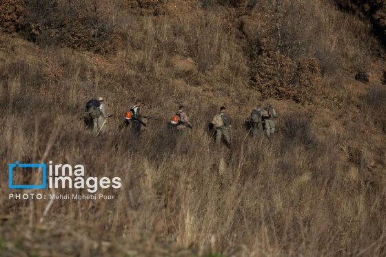 مهار آتش‌سوزی جنگل الیت