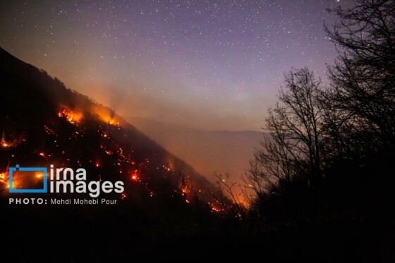 مهار آتشسوزی جنگل الیت