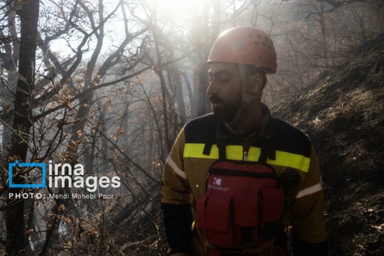 مهار آتش‌سوزی جنگل الیت