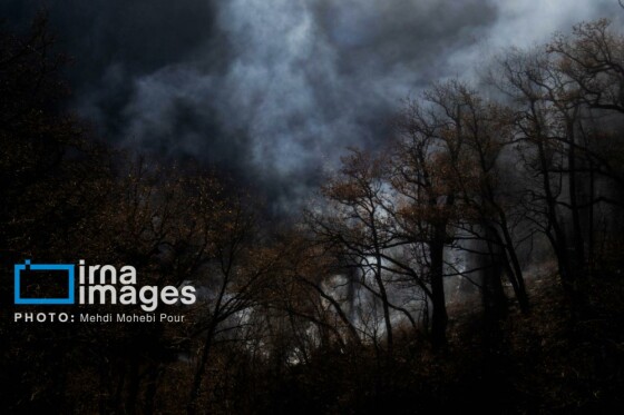 مهار آتشسوزی جنگل الیت