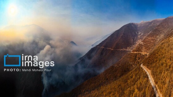 مهار آتش‌سوزی جنگل الیت