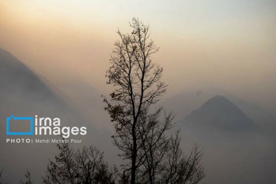 مهار آتشسوزی جنگل الیت