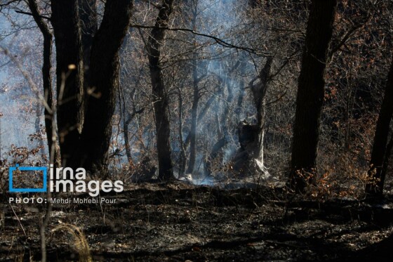 مهار آتشسوزی جنگل الیت