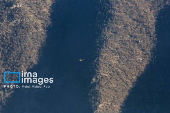 مهار آتشسوزی جنگل الیت