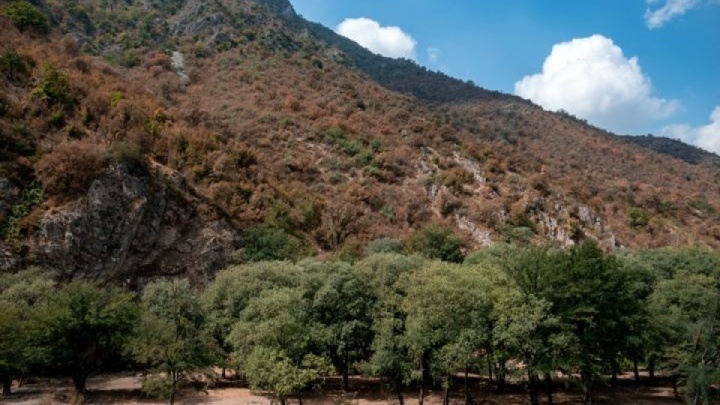 ممنوعیت طبیعت گردی در مازندران تا اطلاع بعدی