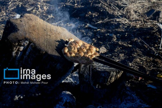 مهار آتشسوزی جنگل الیت