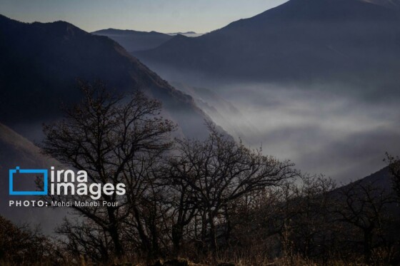 مهار آتش‌سوزی جنگل الیت