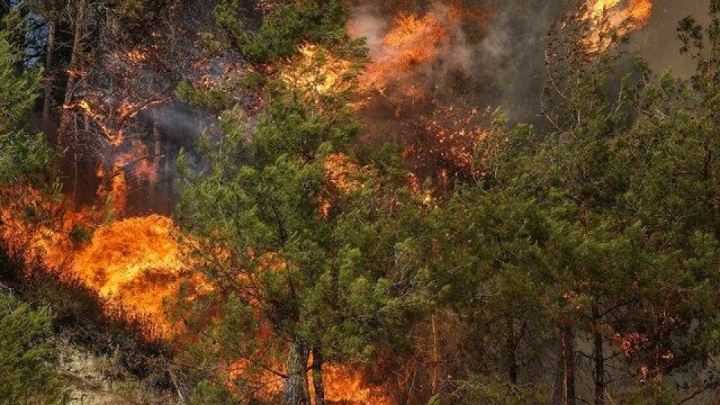 کوچک‌ترین بی‌احتیاطی از طرف گردشگران، می‌تواند به یک فاجعه تبدیل شود