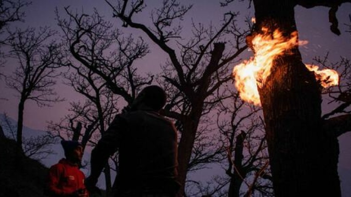 دخالت انسان در آتش‌سوزی الیت قطعی است