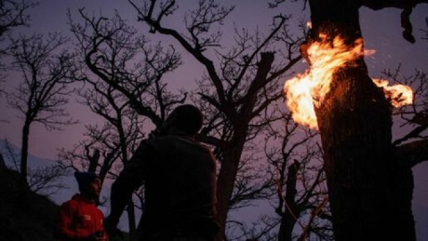 دخالت انسان در آتش‌سوزی الیت قطعی است