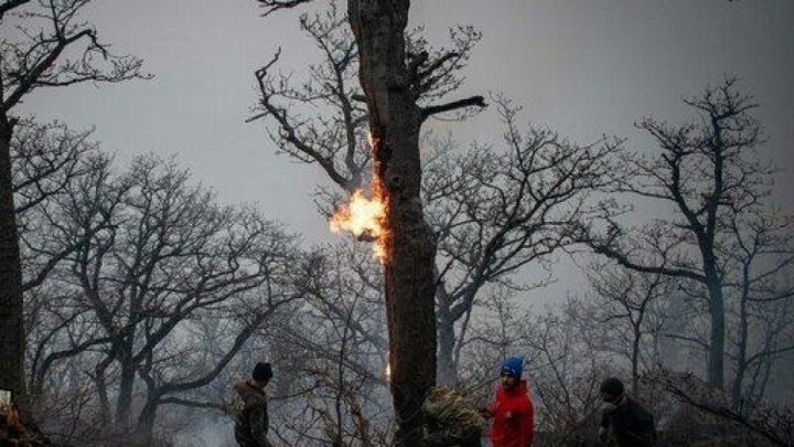 مهار آتش‌سوزی ۵ هکتاری در آستارا/ آماده باش ۶۲۵ نیروی حفاظتی منابع طبیعی گیلان