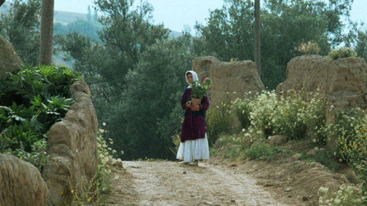 جشنواره جهانی فیلم فجر با نمایش فیلمی از عباس کیارستمی افتتاح می‌شود