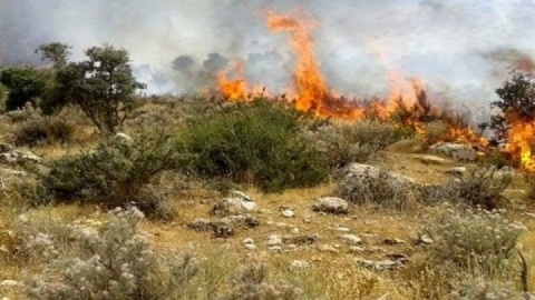 امتداد خط آتش جنگل‌های هیرکانی در گلستان