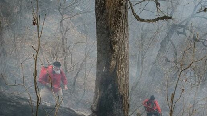 مهار ۹۵ درصدی آتش‌سوزی جنگل‌های الیت/ چرا برای مهار آتش دیر بالگرد اعزام شد؟